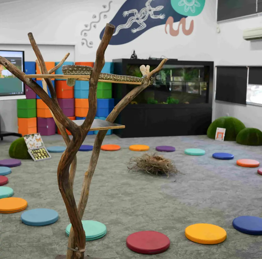 Learning space at Education centre at Taronga Western Plains Zoo set-up ready for class workshop with snake in fake tree, power point playing and seating cushions in a circle