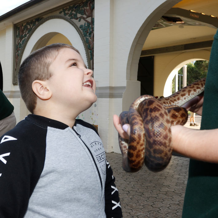 Boy up close to a snake 