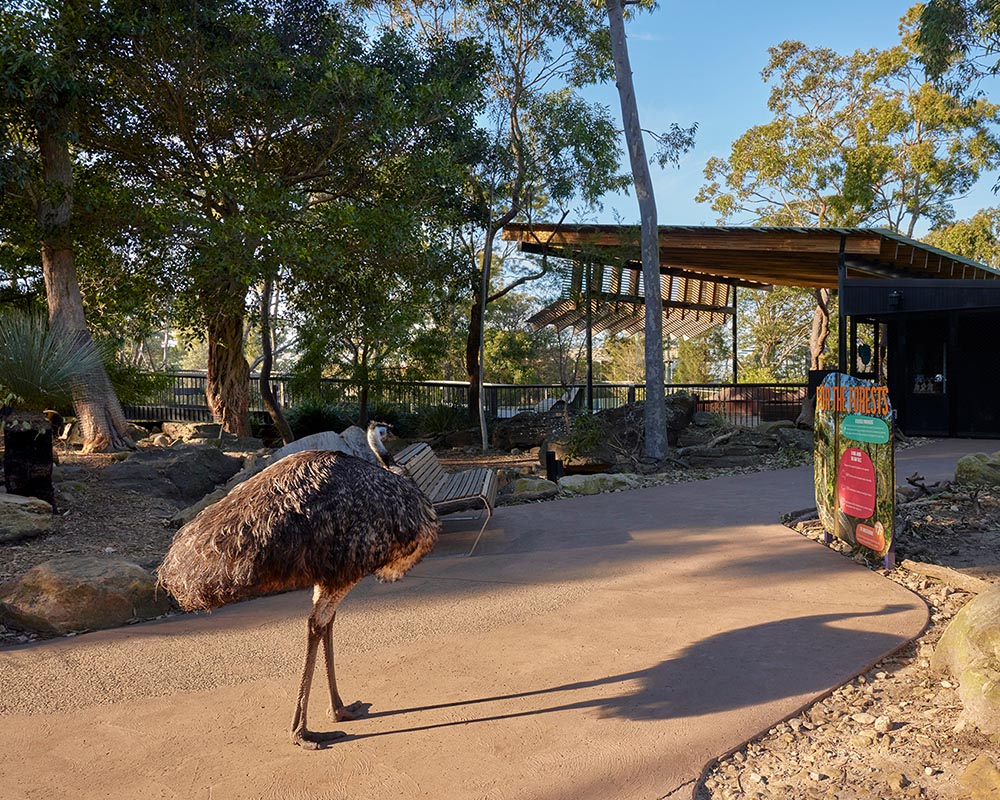 Emu