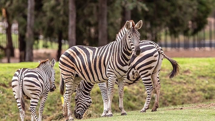 image-block-3