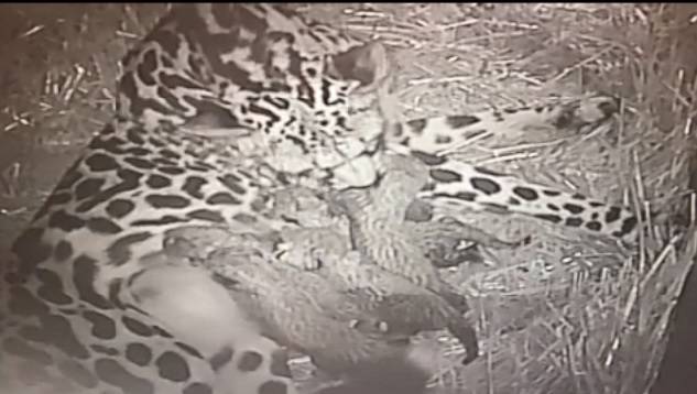 image-block-2