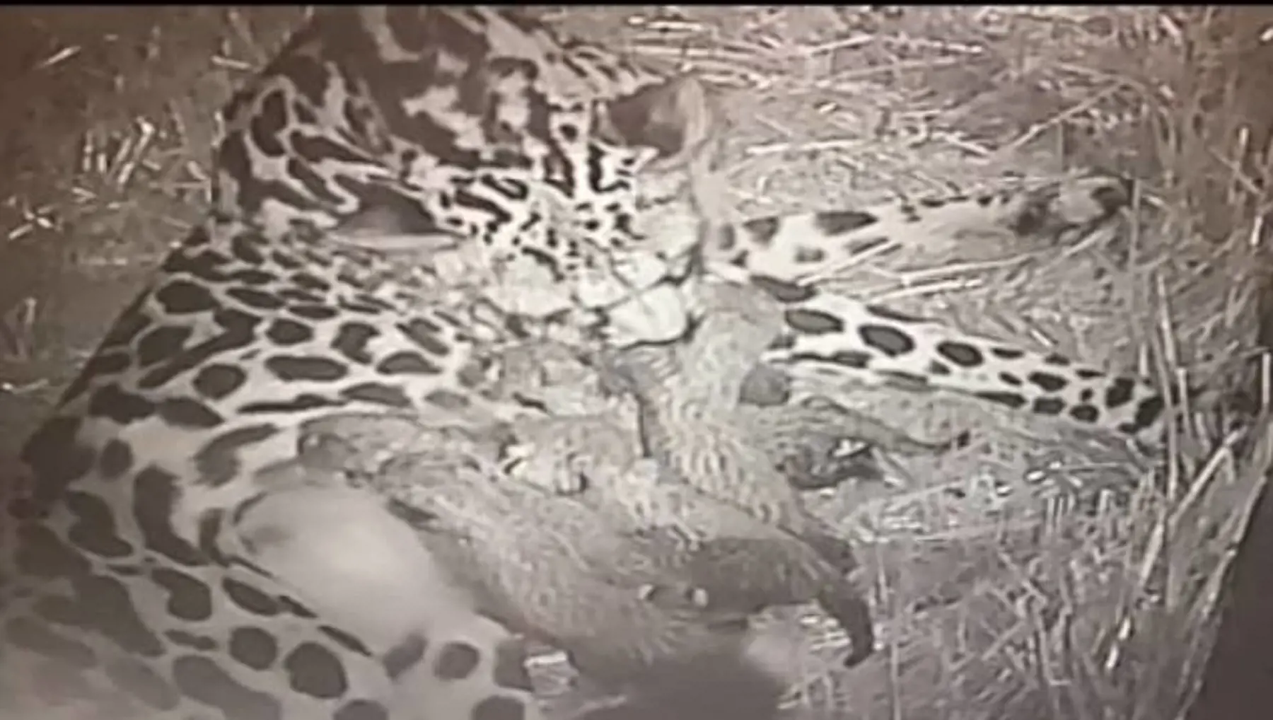 image-block-2