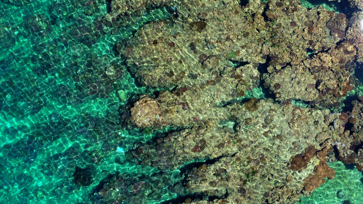 image-block-6