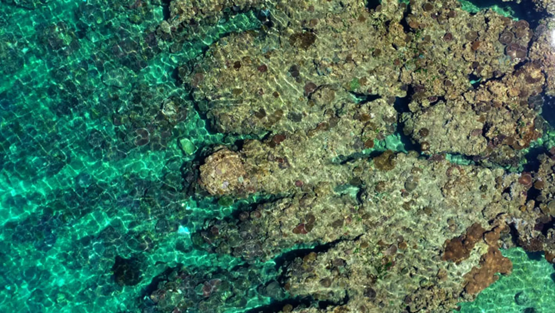 image-block-6