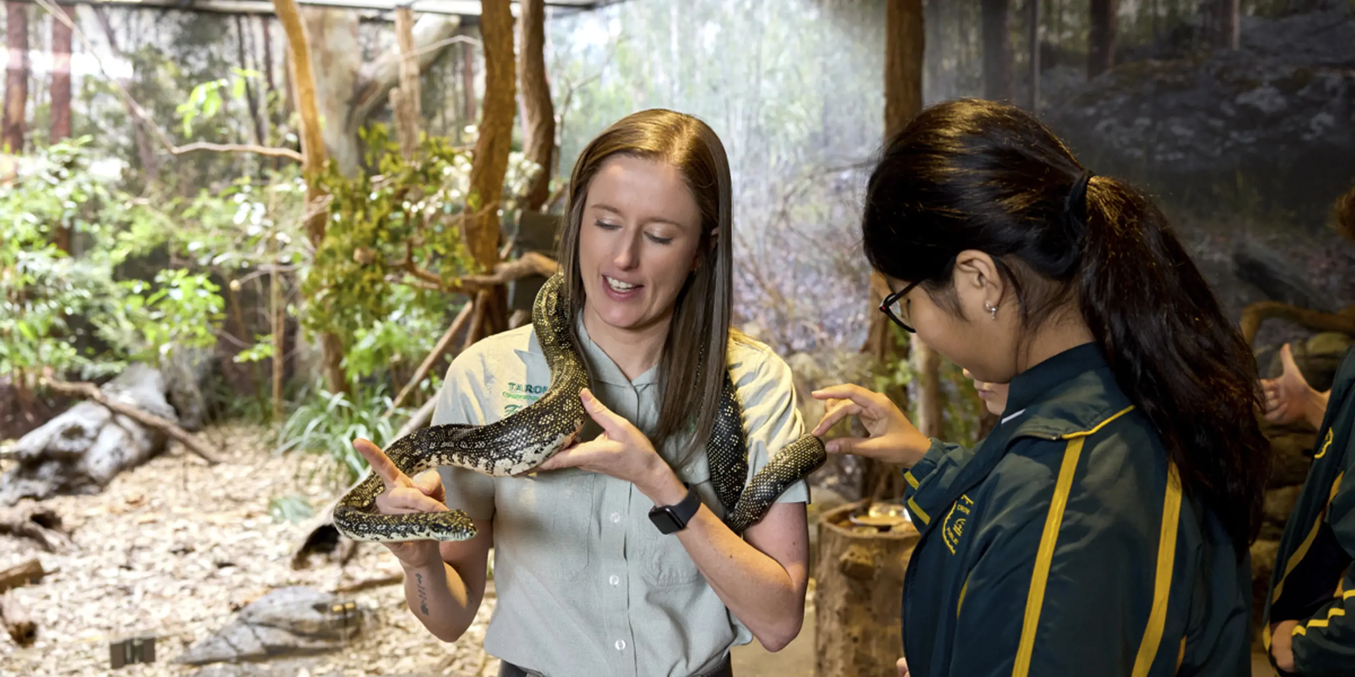 Zoo Education Manager with a python