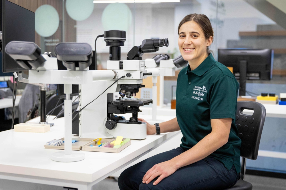 Lab Volunteer