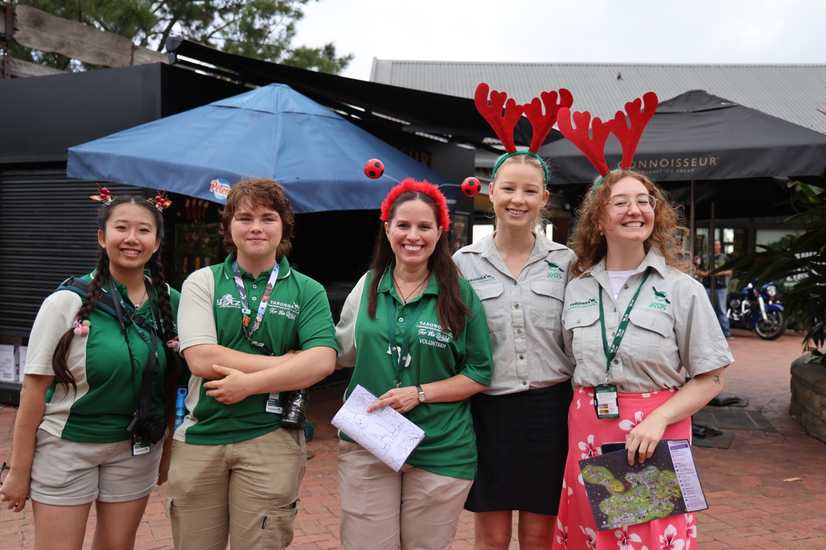 Volunteers and staff at Dreamnight at Taronga Zoo Sydney