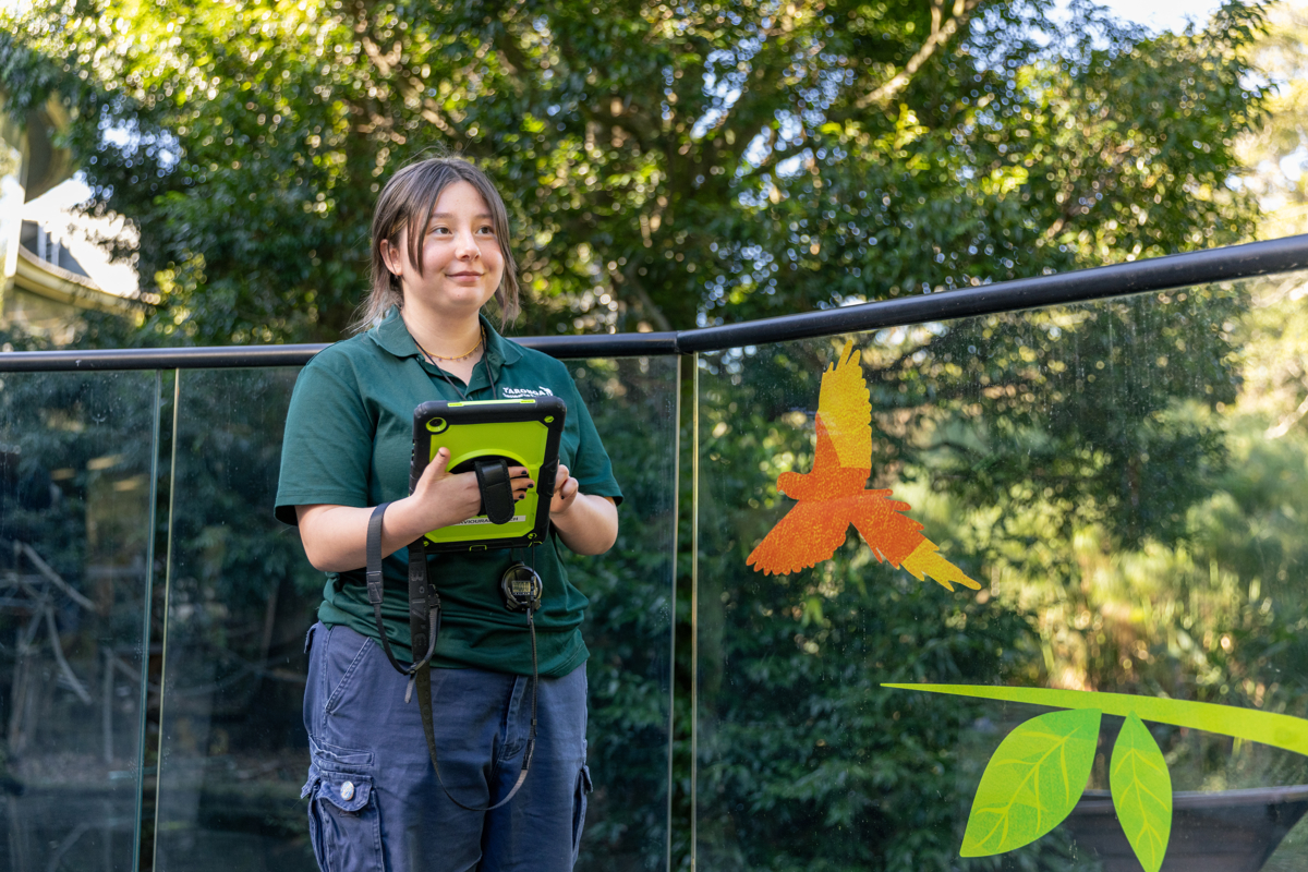 Behavioural Watch Volunteer outside enclosure 