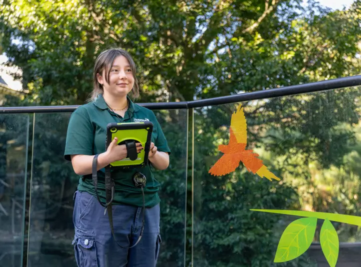 Behavioural Watch Volunteer outside enclosure
