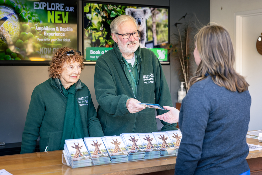 Guest Experience Volunteers in Info Desk