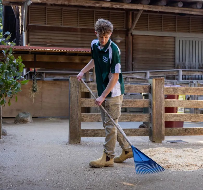 Work Experience Student raking the paddock
