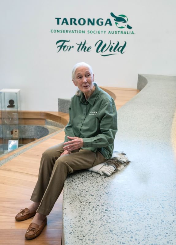 Jane Goodall at Taronga Zoo