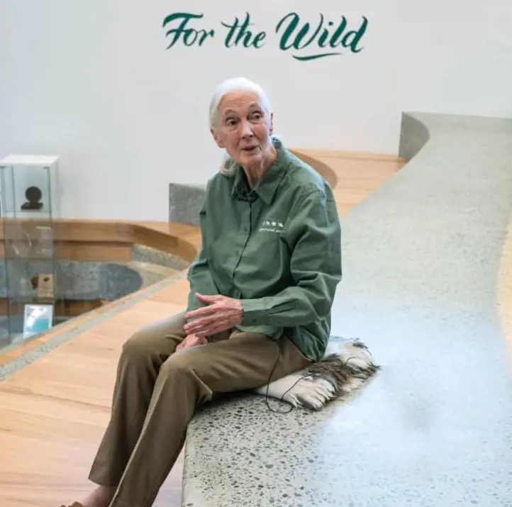 Jane Goodall at Taronga Zoo