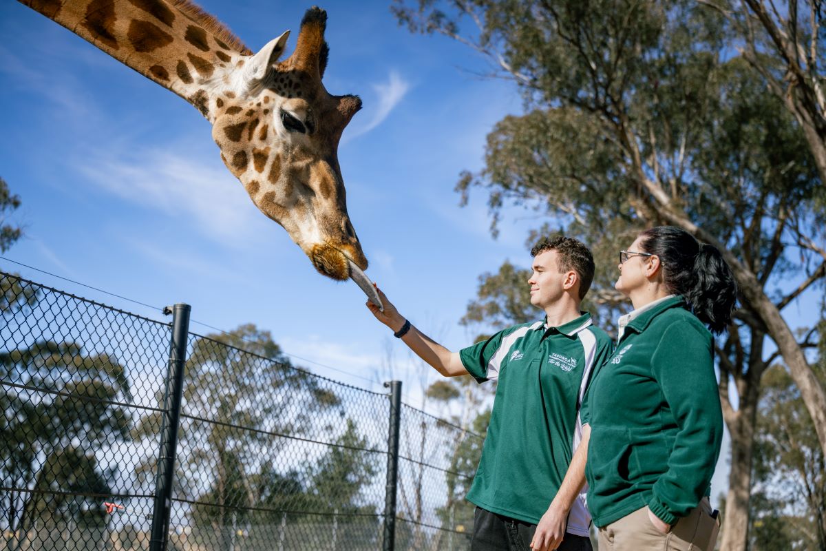 YATZ students with giraffe at Taronga Dubbo