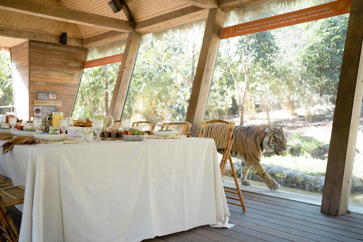 Tiger Trek restaurant experience in Sydney