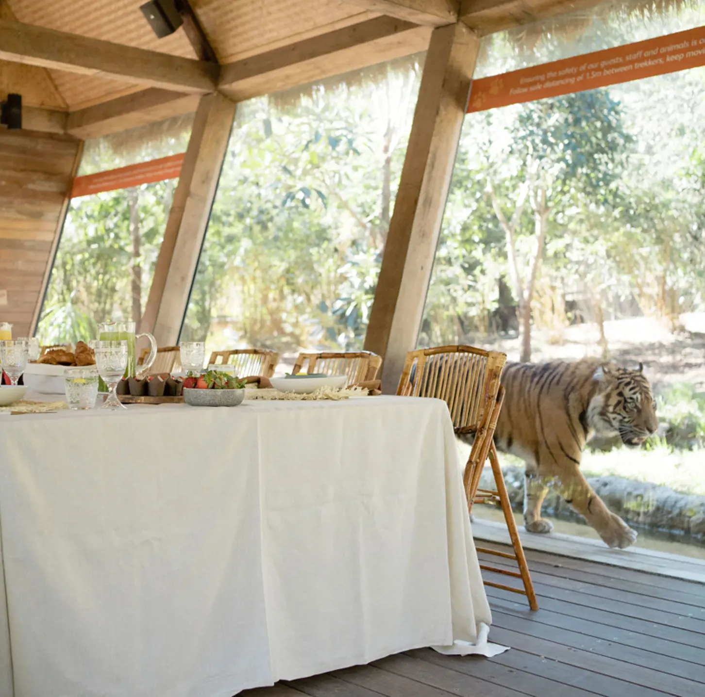 Tiger Trek restaurant experience in Sydney
