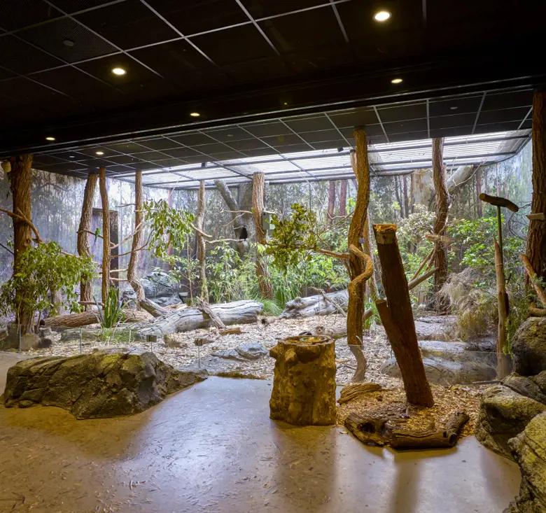 Bushland Immsersive Habitat Classroom, showing trees and animals in habitat at Taronga Insitutue of Science and Learning