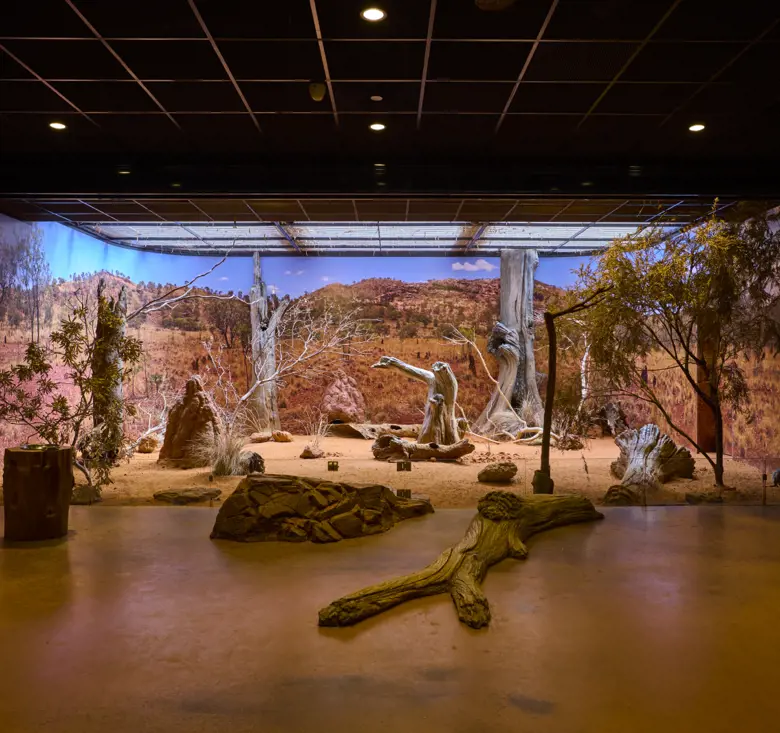 Desert immersive habitat classroom, desert scene of red dirt, rocks and trees, at Taronga Institute of Science and Learning
