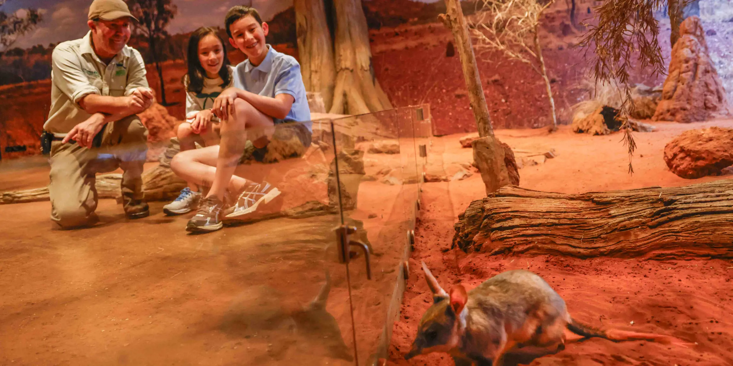 Children sitting on rock listening to teacher guide while overlooking bilby in desert-themed immersive environment.
