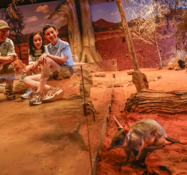 Children sitting on rock listening to teacher guide while overlooking bilby in desert-themed immersive environment.
