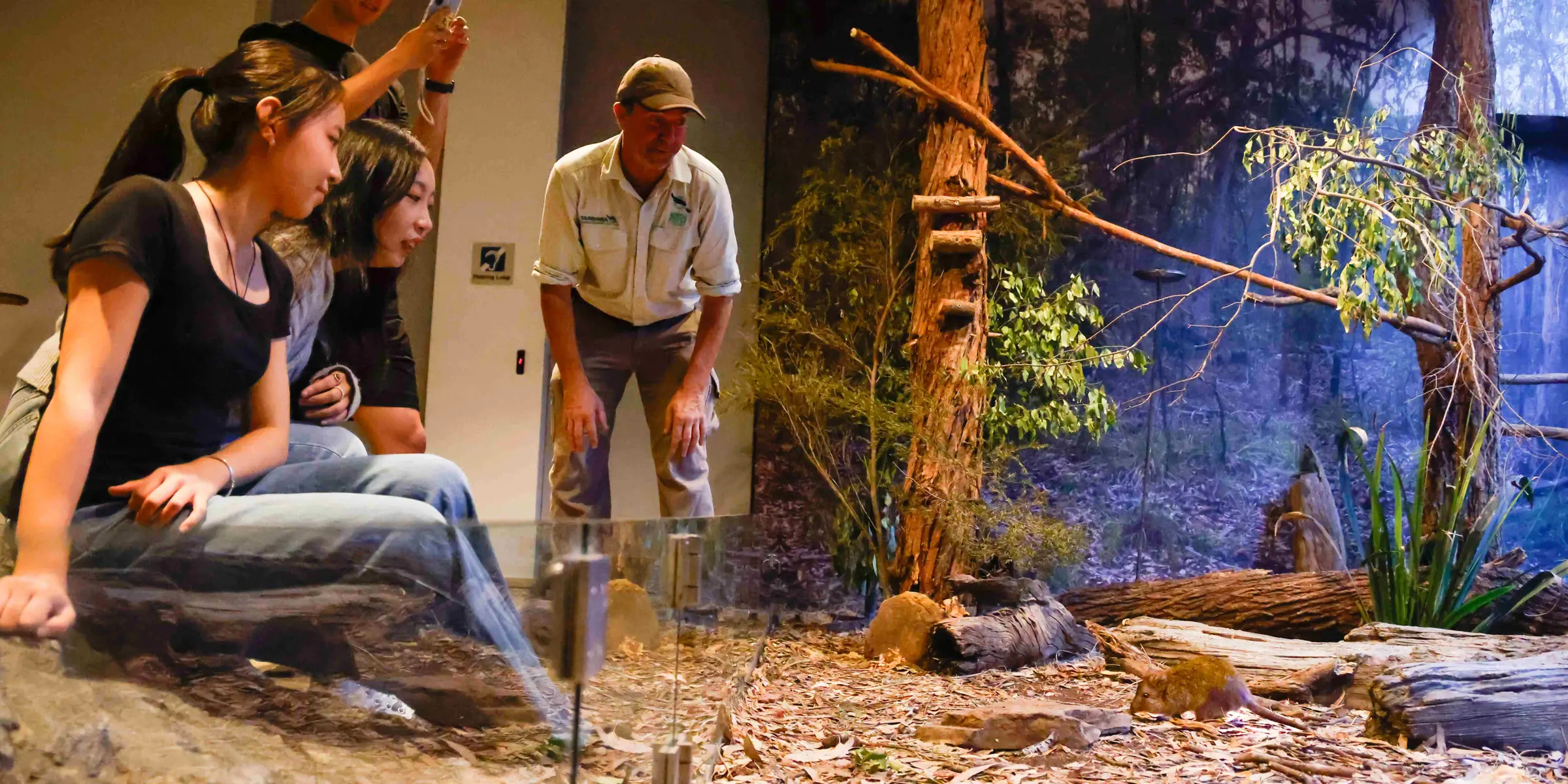 School students observing animals in a naturalistic habitat during a lesson in an immersive classroom.