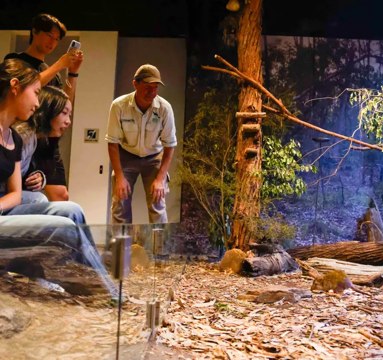 School students observing animals in a naturalistic habitat during a lesson in an immersive classroom.