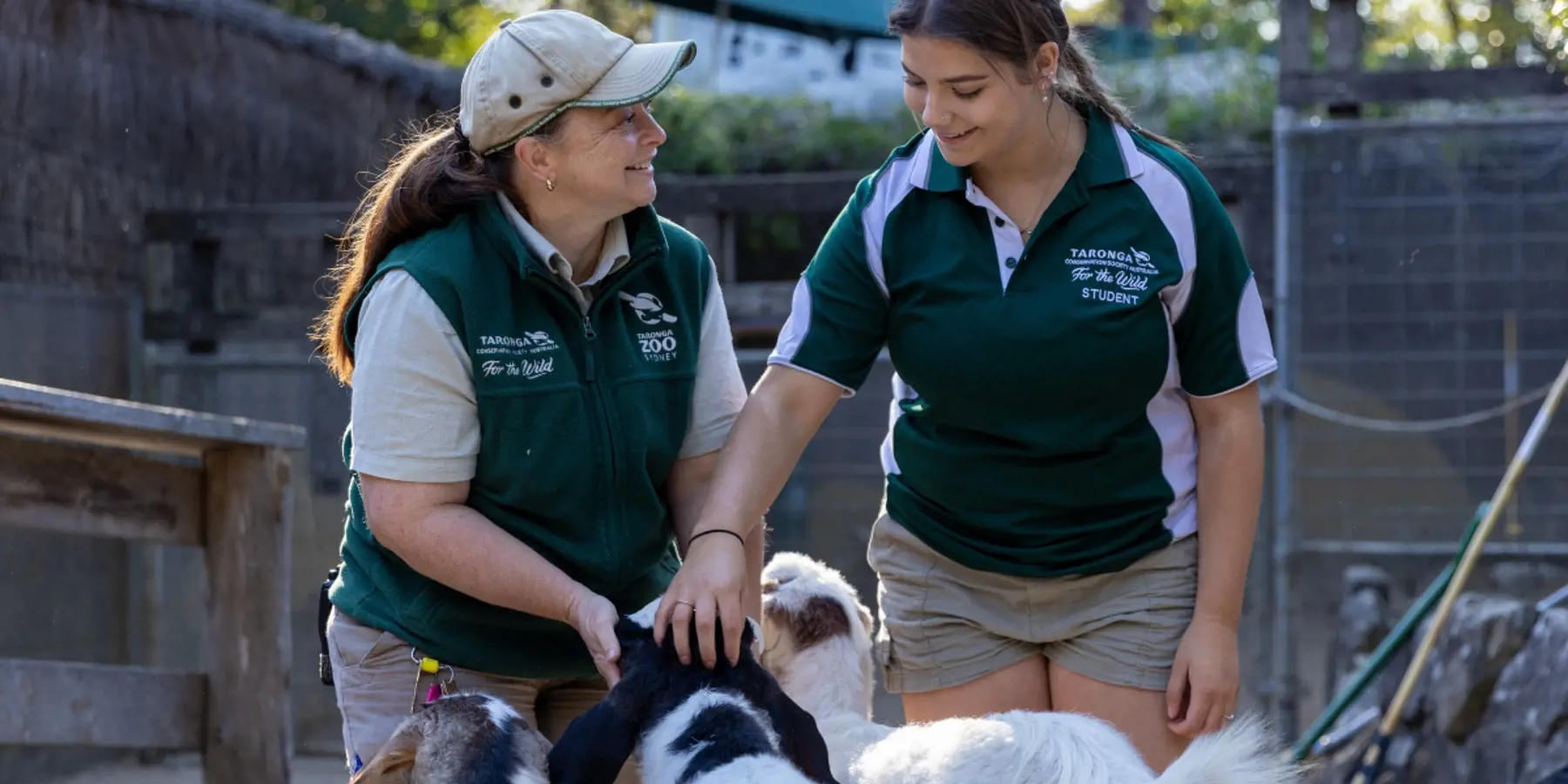 Keeper teaching certificate course student about animal care at Taronga Training Institute
