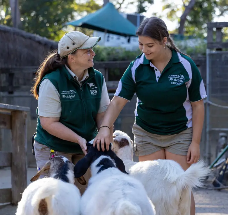Keeper teaching certificate course student about animal care at Taronga Training Institute