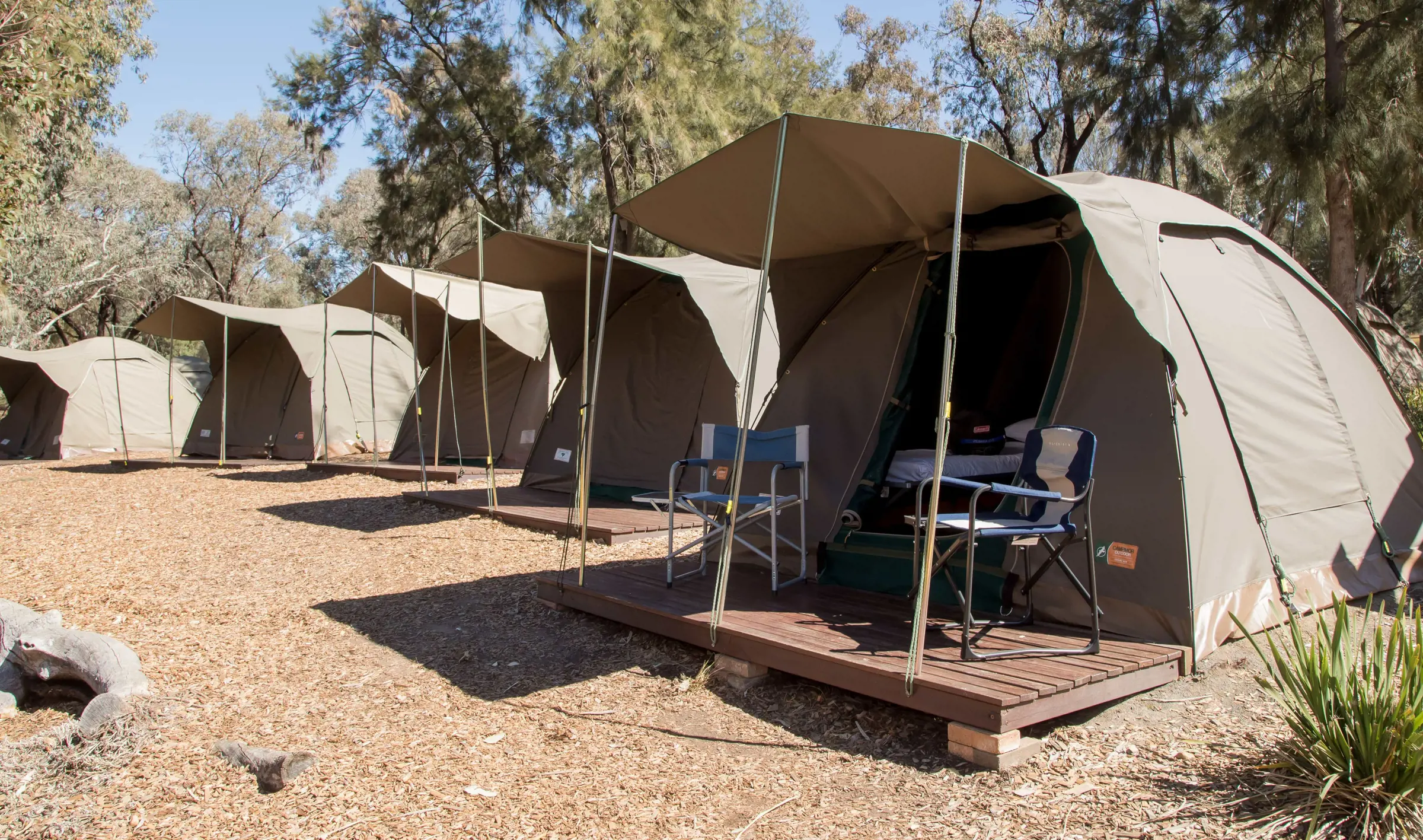 Safari‑style tents at Billabong Camp for an overnight education program.