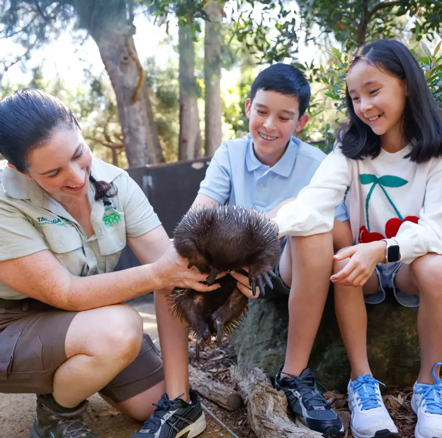 Students participating in a hands‑on wildlife workshop with an echidna.