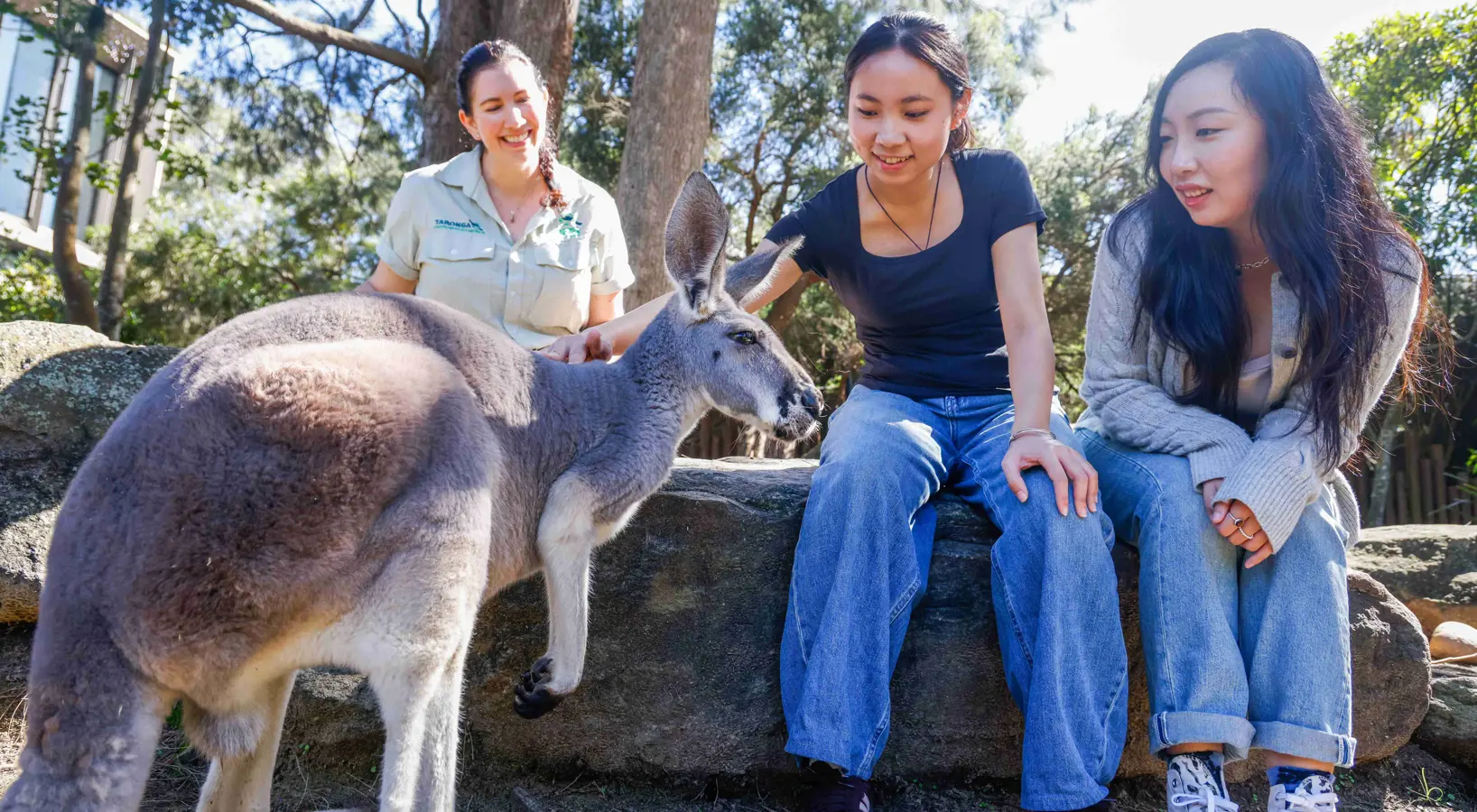 Students participating in a wildlife education workshop while observing a kangaroo.