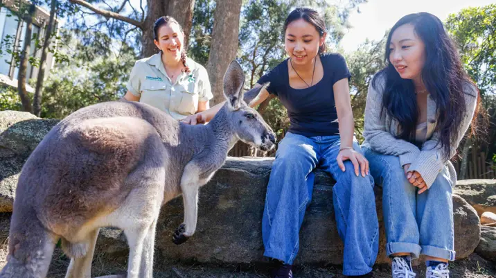 Students participating in a wildlife education workshop while observing a kangaroo.
