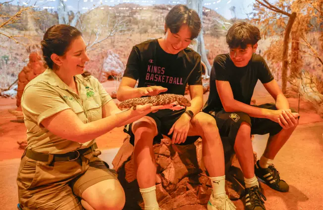 Students participating in a wildlife education workshop while observing a lizard.