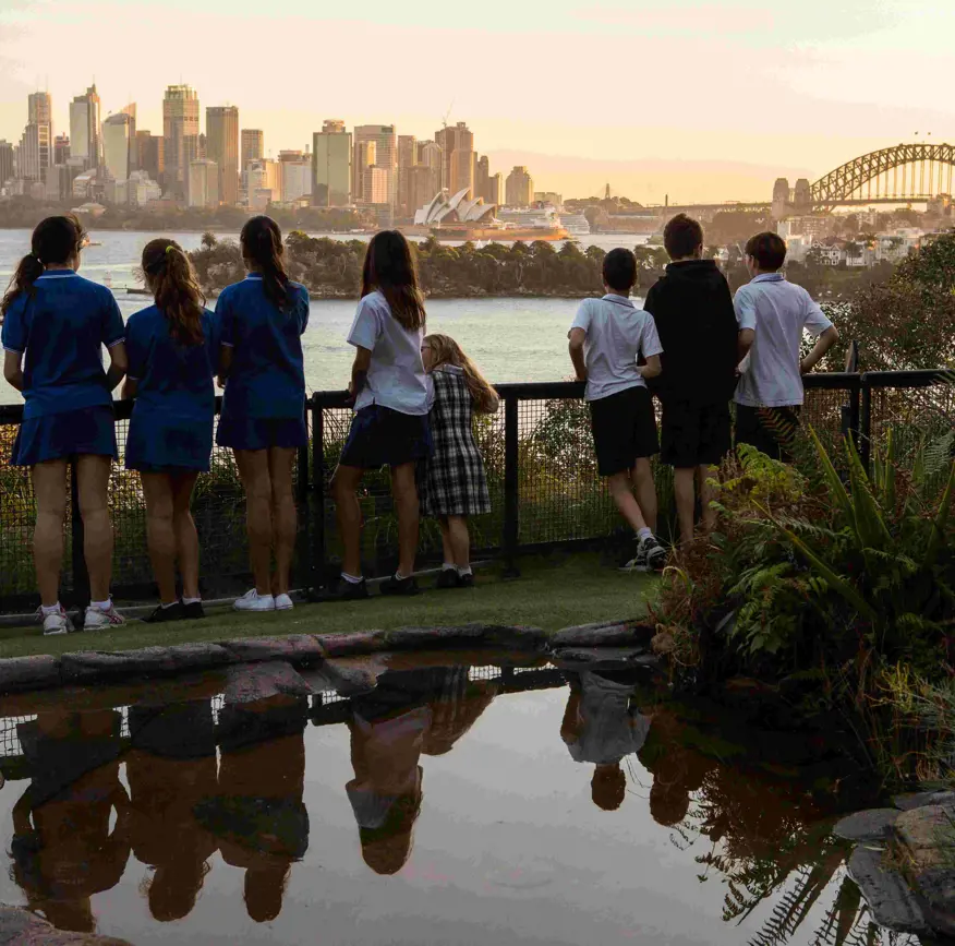 Students viewing Sydney Harbour and the Harbour Bridge during a Zoosnooz overnight education program.