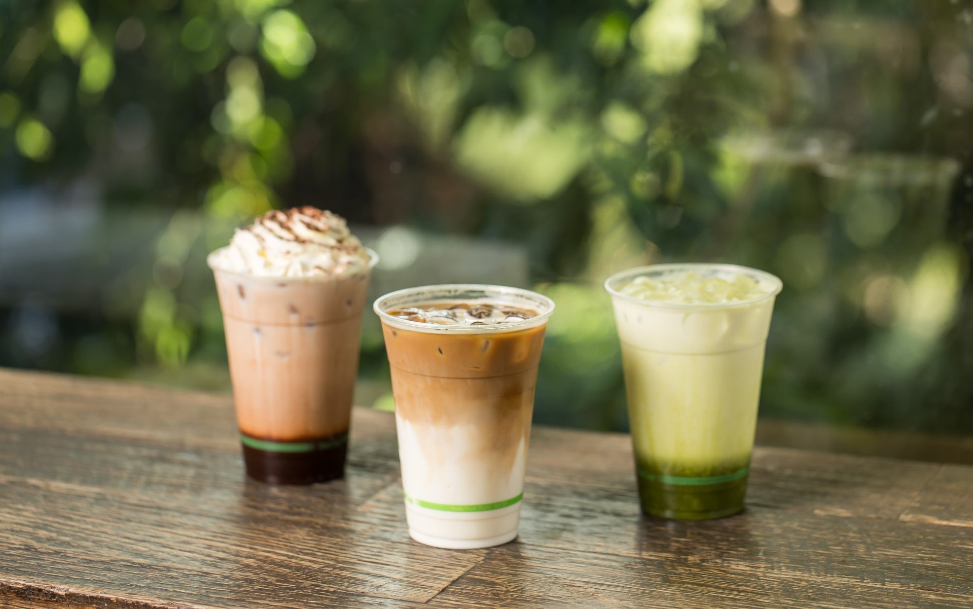 Iced chocolate, iced latte and iced matcha on a bench in front of greenery.