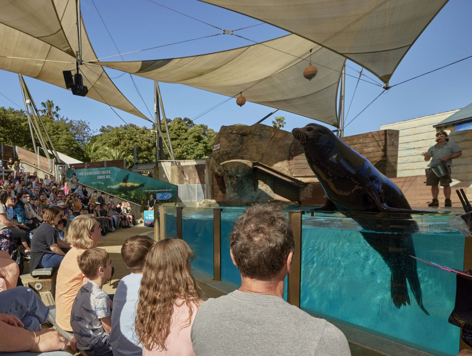 Image of Seals for the Wild Presentation