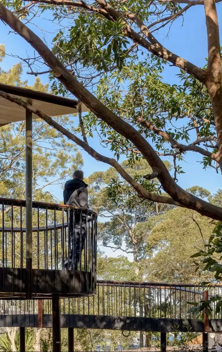 Guests overlooking Koalas at Koala Country in the Nura Diya Habitat