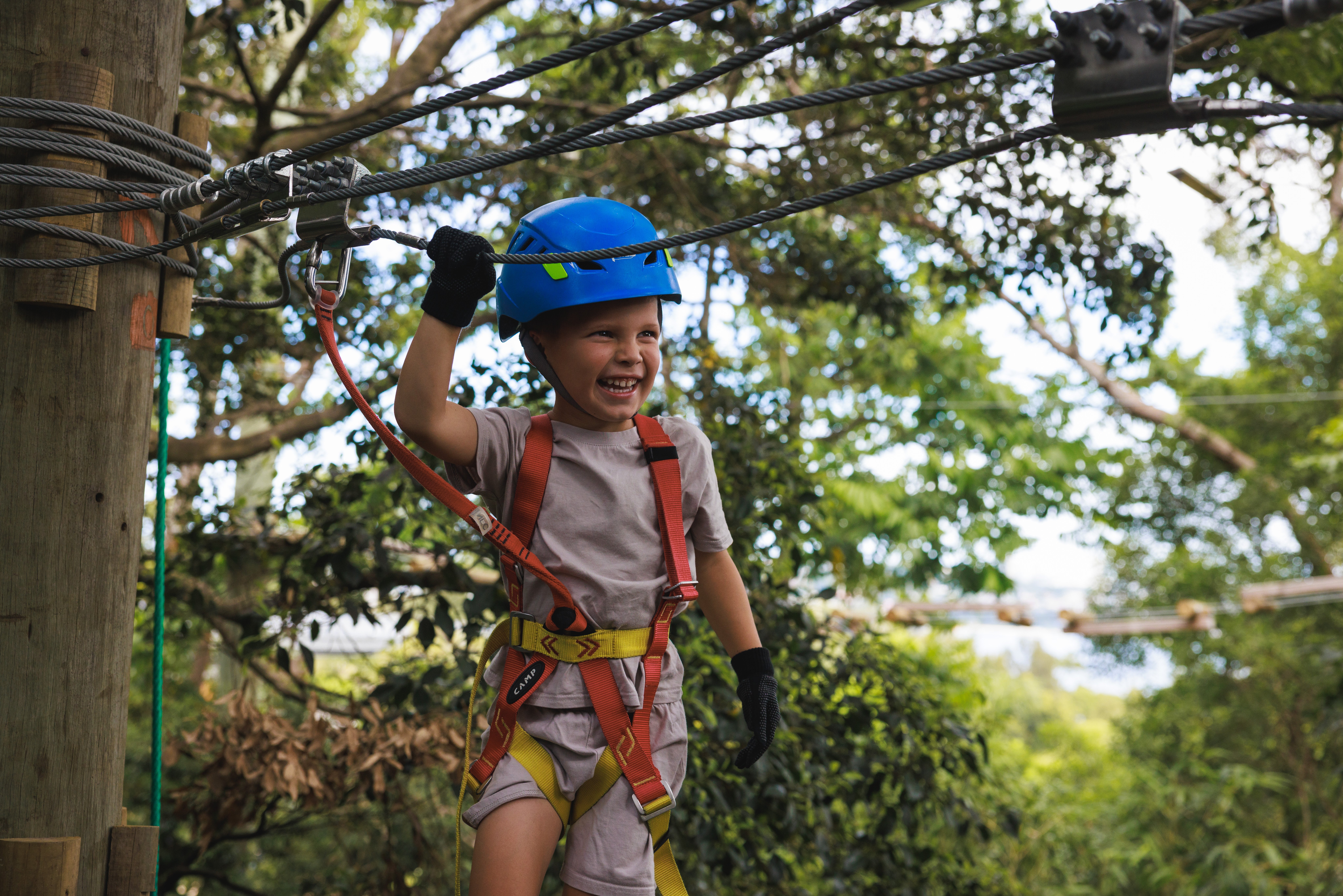 Image of Wild Ropes Treetops Adventure