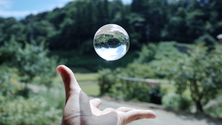 HATCH: Taronga Accelerator Program. Photo: Shunsuke Ono
