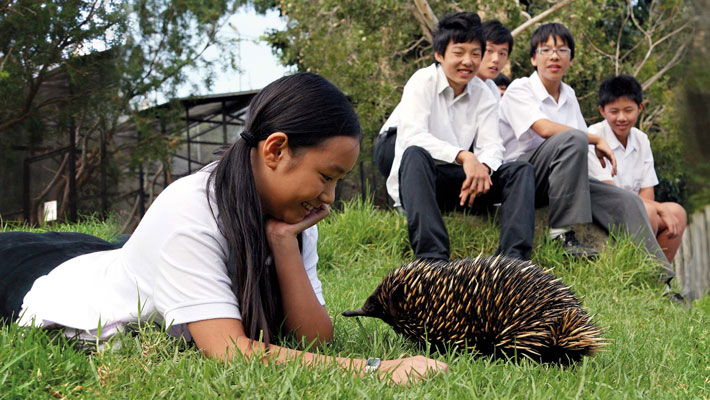 International schools programs at Taronga Zoo Sydney