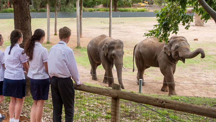 Self-guided visit to Taronga Western Plains Zoo Dubbo. Photo: Rick Stevens