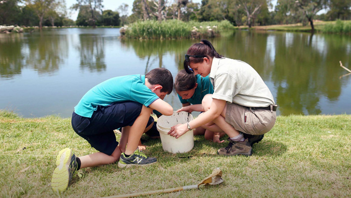 Full day programs at Taronga Western Plains Zoo Dubbo.