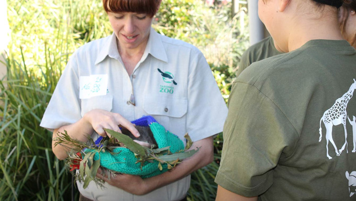 Cadet Keepers at Taronga Zoo Sydney.