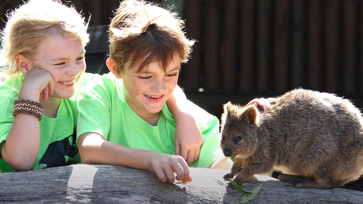 Zoo Adventurers kids with a Quokka at Taronga Zoo Sydney.