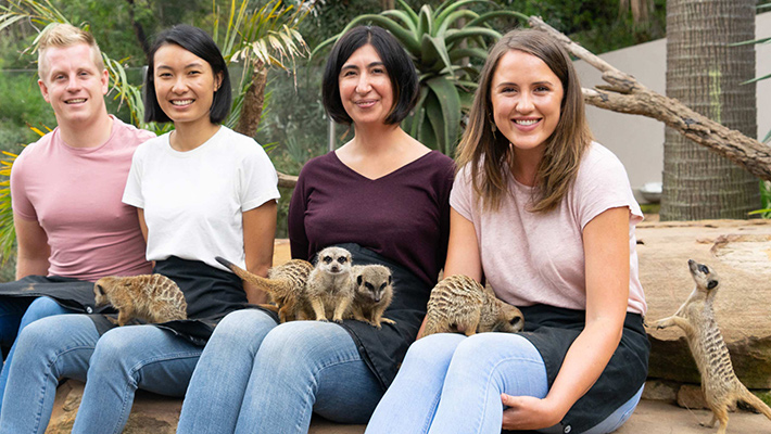 Meerkat encounter at Taronga Zoo Sydney.