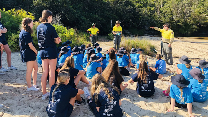 Project Penguin taking place at Manly Beach.