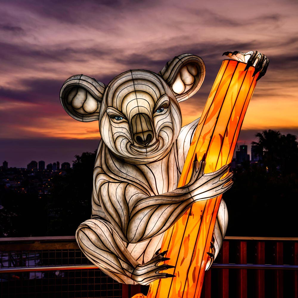 Koala light display at Vivid Sydney, Taronga Zoo Sydney. Photo: Destination NSW