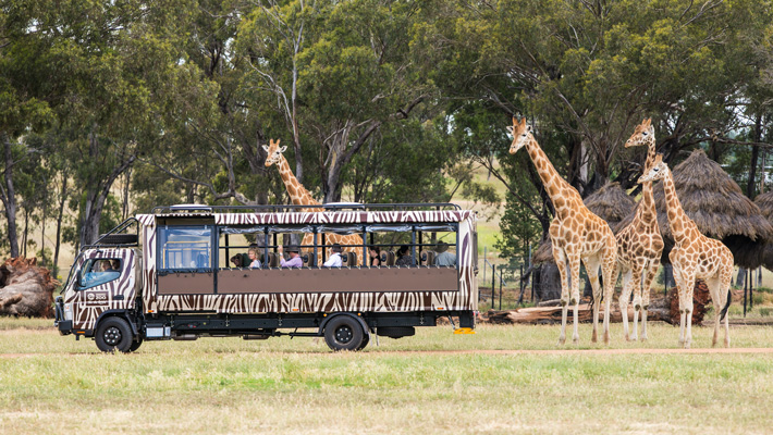 Safari truck at Taronga Zoo Western Plains