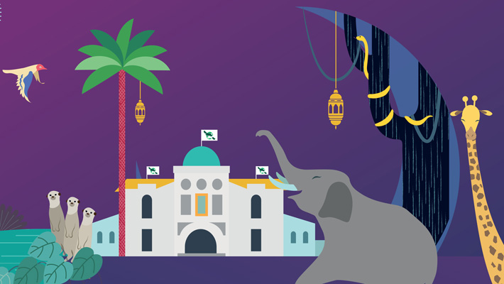 Eid at Taronga Zoo