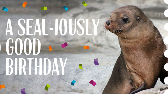 $1 on your Birthday - Seal